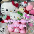 HELLO KITTY MYSTERYSCOOPYS